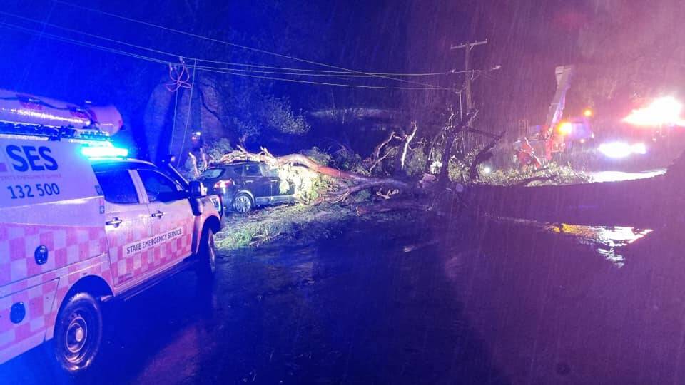 HARD HIT: Damage caused by trees in Monday night's storm. Photo: NSW SES ORANGE CITY UNIT. 
