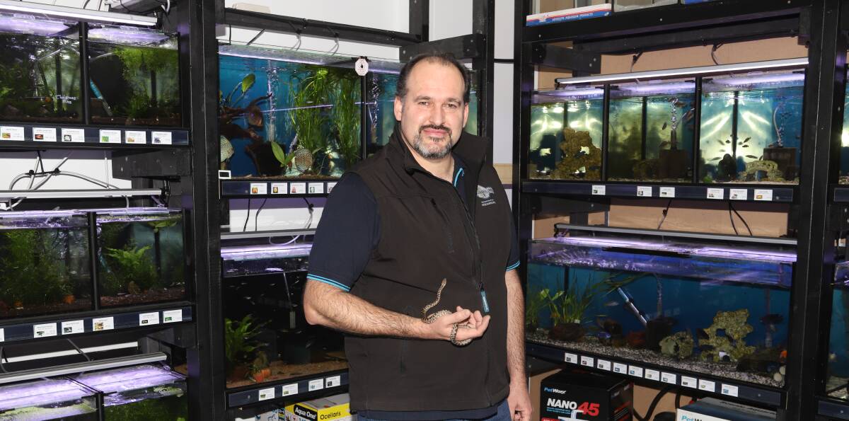 GOOD TO GO: Holger Loecker was happy to be back in business as Second Nature Aquariums reopened. Photo: CARLA FREEDMAN. 