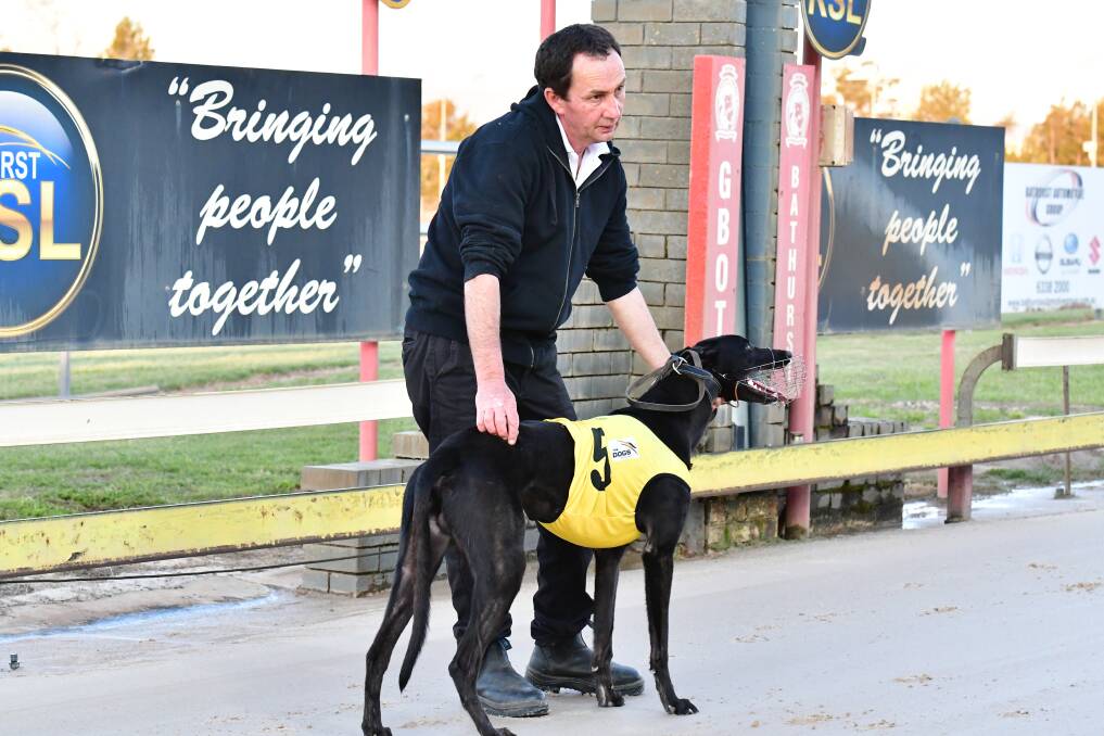 WHAT A START: Helen's Memory made a big impression in his debut at Kennerson Park on Monday. Photo: ALEXANDER GRANT