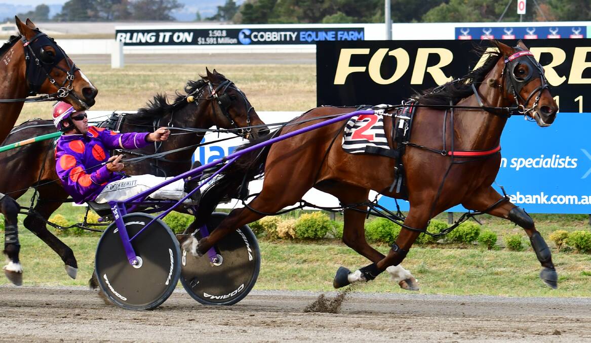 NEARLY HOME: Alta Equus races home to win Wednesday night's Club Menangle Country Series Heat at Bathurst Paceway. Photo: ALEXANDER GRANT