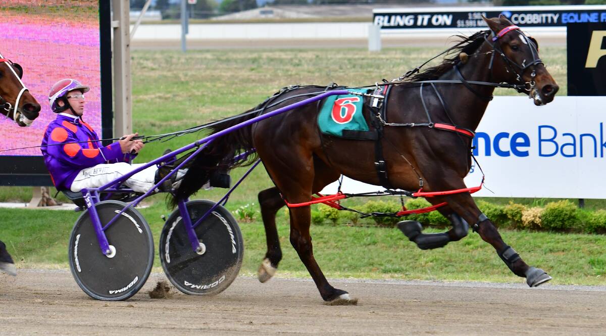 WON'T BE CAUGHT: Lord Denzel charges to a win at Bathurst Paceway on Wednesday night, his second victory on the trot. Photo: ALEXANDER GRANT