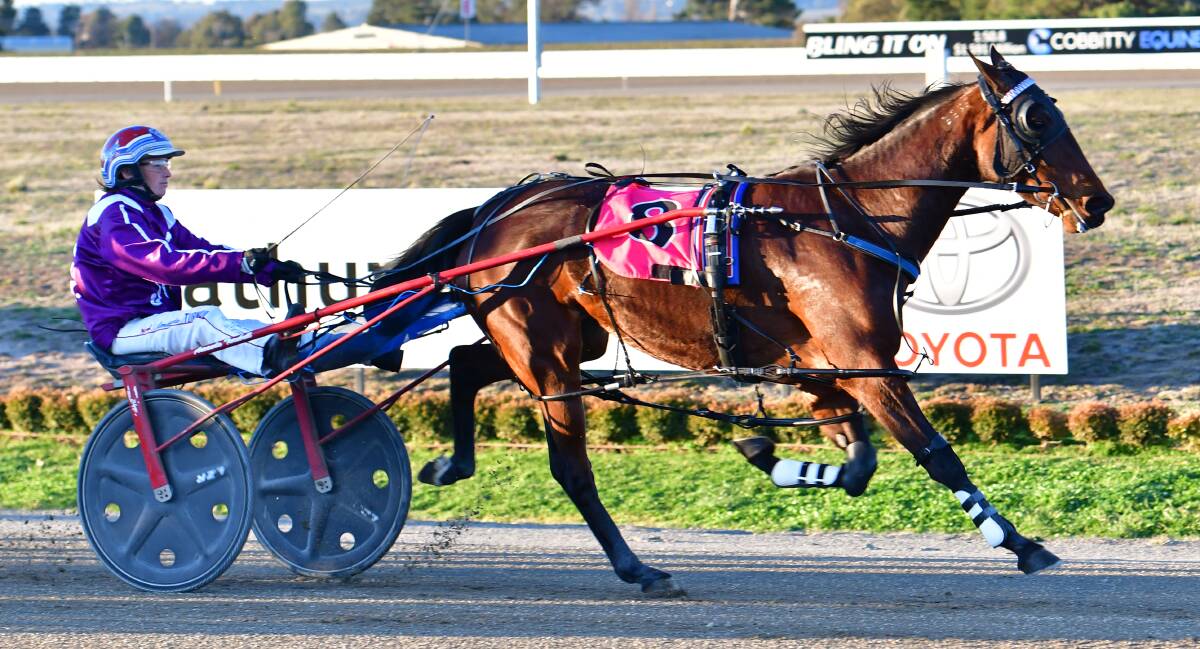 FAVOURITE: Now Eye See cruises to victory in the Burnt Blades Horse Help Three Year Old Fillies Pace on Wednesday. Photo: ALEXANDER GRANT