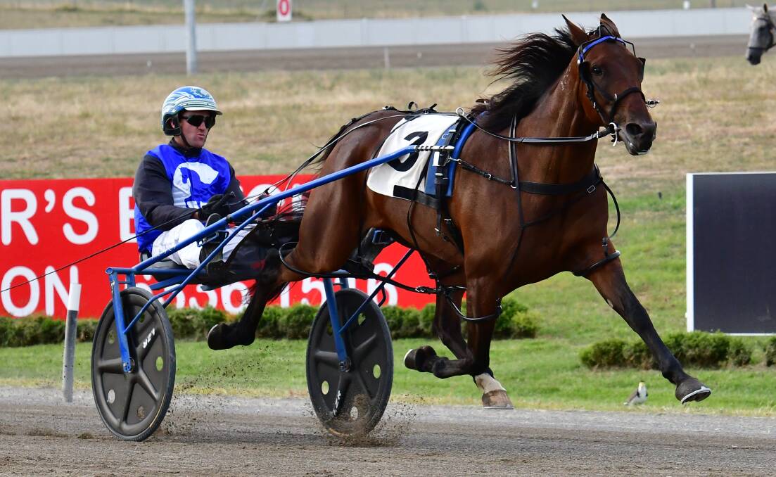 MIGHTY MARE: Island Banner surges towards victory in the Best Of The Bush Heat (1,730 metres) at Bathurst Paceway on Wednesday. Photo: ALEXANDER GRANT