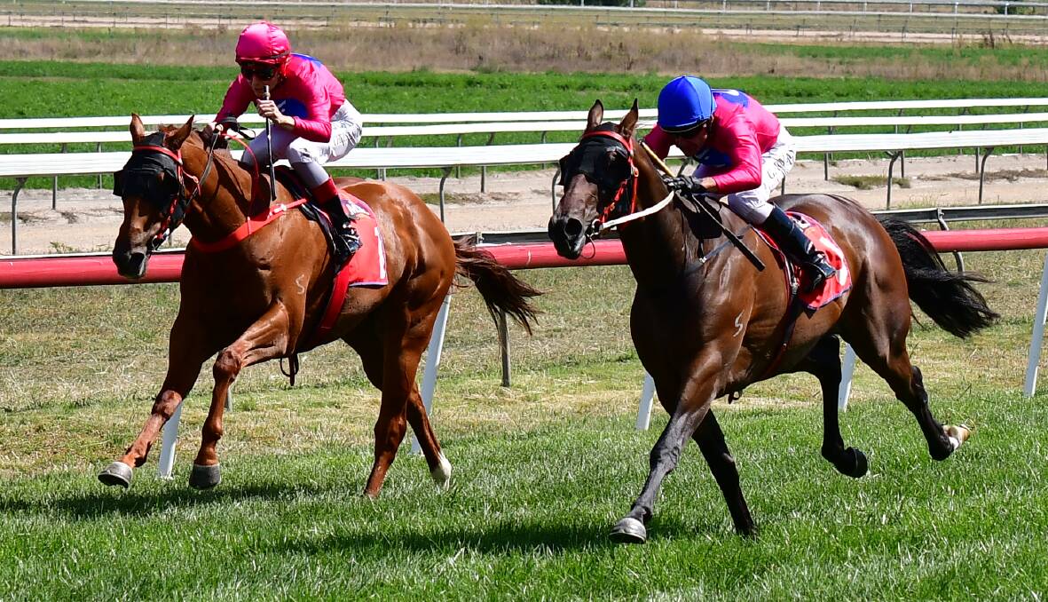 QUINELLA: Electrified (right) passes by stablemate Alcatran to win at Tyers Park on Tuesday. Photo: ALEXANDER GRANT
