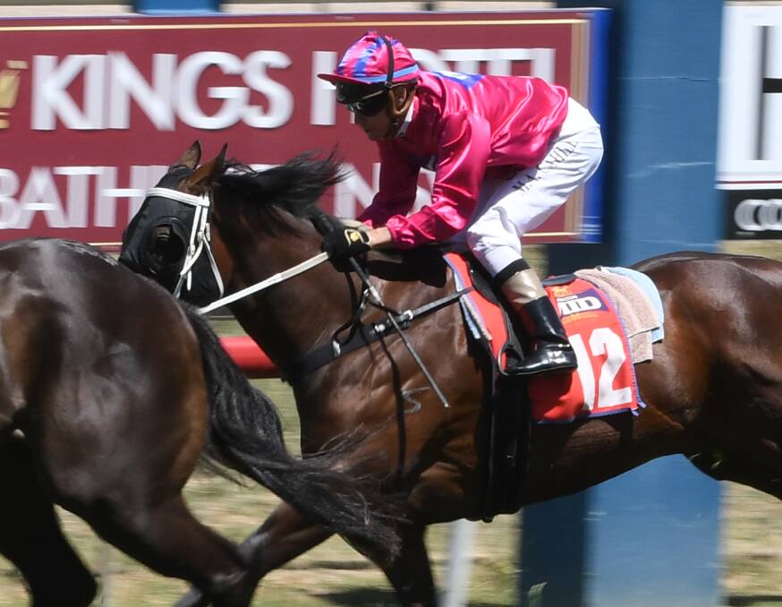 IN FORM: Jetgirl will be looking for a second win in as many starts this preparation when she lines up in the ANZAC Day Sprint (1,200 metres). Photo: CHRIS SEABROOK