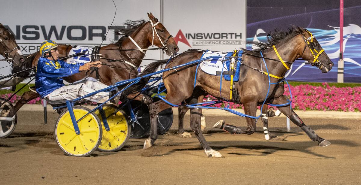 BREAKTHROUGH: Our Uncle Sam races to victory in Saturday night's Bohemia Crystal Free For All (2,400 metres). Photo: ASHLEA BRENNAN PHOTOGRAPHY
