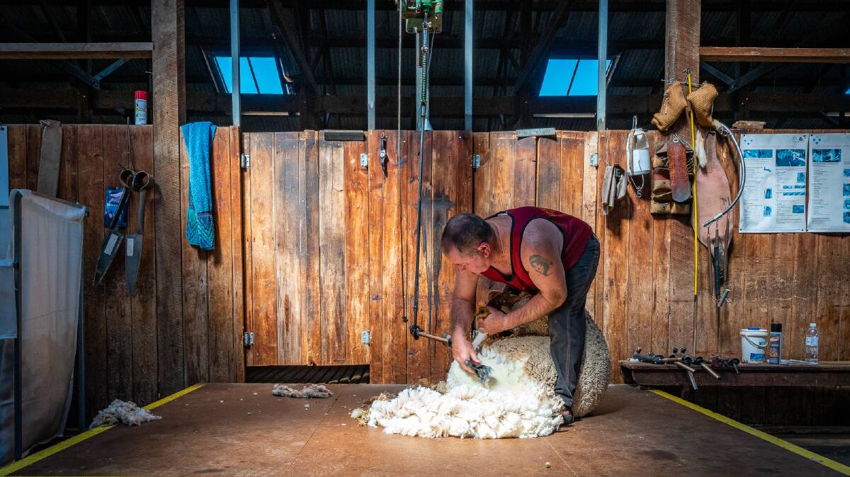 Jack Walliss demonstrates sheep shearing at Shear Outback in Hay.