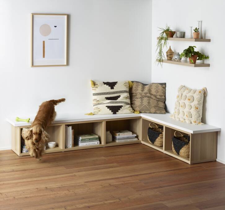 PET FRIENDLY: Carpet Court recently released a range of pet-proof flooring, the Pinnacle Collection, which is durable, easy to maintain, scratch resistant and non-slip.