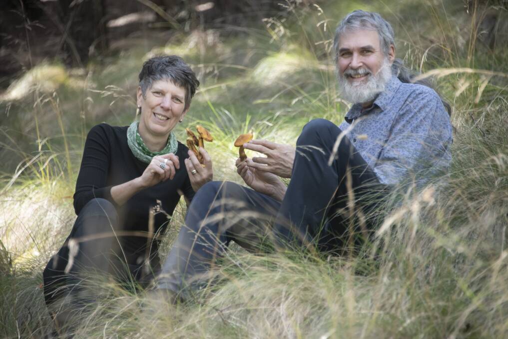 Choose carefully: Ecologist Dr Alison Pouliot and Tim May of the Royal Botanic Gardens Victoria urge safety first when seeking edible fungi. Their book Wild Mushrooming suggests learning a few safe species thoroughly.