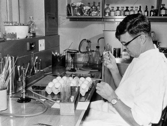 Fenner in the laboratory. Picture: courtesy Walter and Eliza Hall Institute.