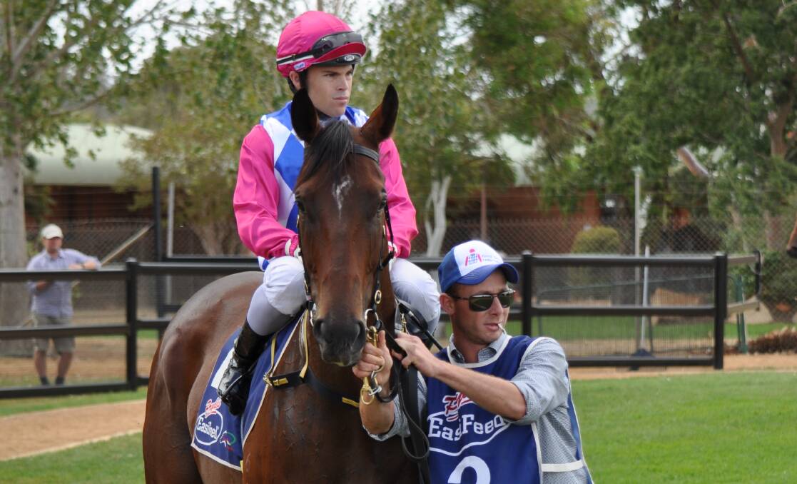 AND AGAIN: Trainer Kody Nestor, pictured with Kenny Succed earlier this preparation, won again on Sunday. Photo: BEN WALKER