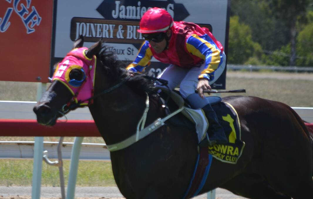 GO AGAIN: Zarhron, pictured winning a previous Cowra Japan Cup, makes his return to the feature event at his home track on Sunday. Photo: PETER GUTHRIE