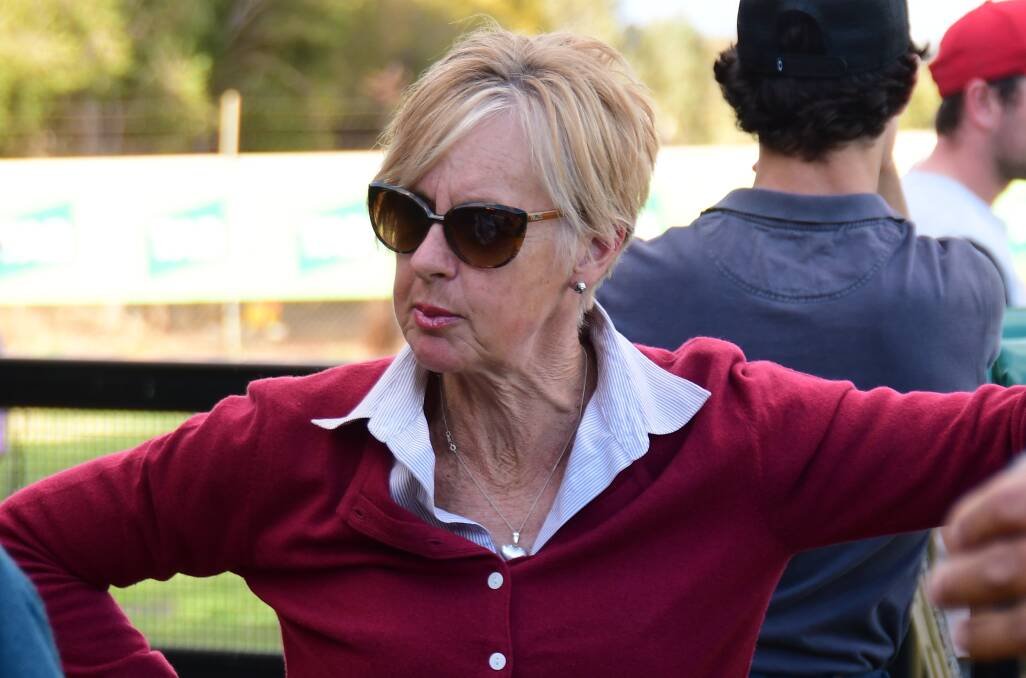 IN THE HUNT: Mudgee-based trainer Gayna Williams will have the promising Ennazus go around in the last event of the day at Wellington on Monday. Photo: BELINDA SOOLE