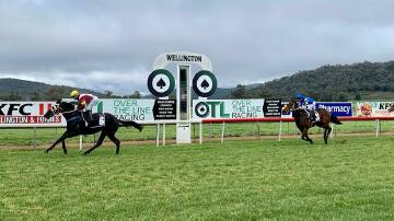 LONE HIGHLIGHT: Inequality won the only race to be run at Wellington on Sunday. Picture: Wellington Race Club