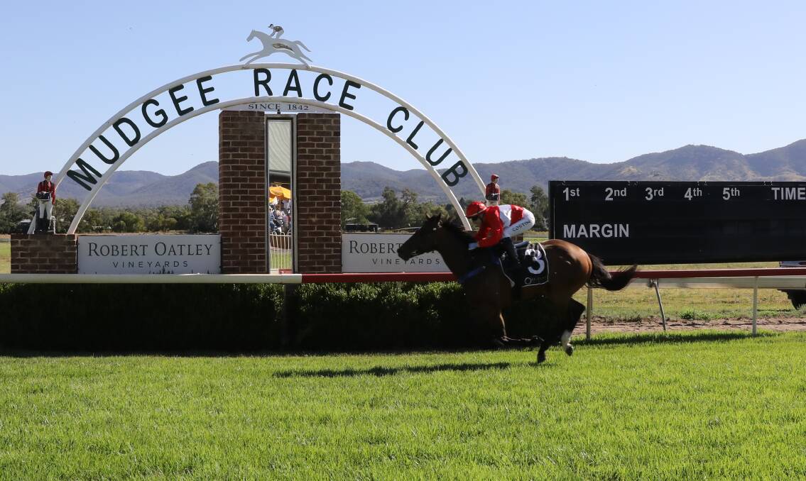 ON THE WAY: Winona Costin kept the good times rolling for Regal Stage on Friday when scoring a commanding Mudgee Cup win with the frontrunner. Photo: SIMONE KURTZ