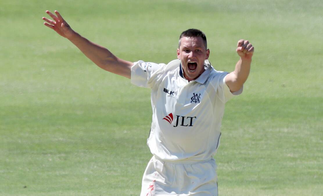 GOT HIM: Chris Tremain celebrates one of the four wickets he took on day one of Victoria's Sheffield Shield clash in Perth. Photo: AAP/RICHARD WAINWRIGHT