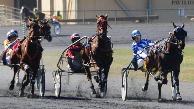 Catch the excitement at the Dubbo Harness Races. Picture DHR website.
