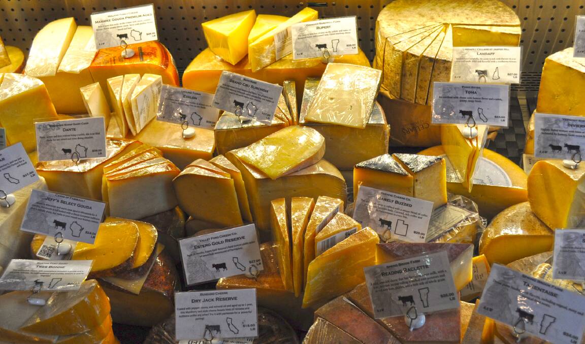 SO MANY POSSIBILITIES: How do you know the difference between cheeses unless the original names can be used?