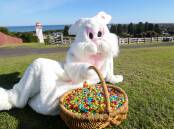 The Easter Bunny is raking it in at this time of year. Picture by Anthony Brady, Australian Community Media