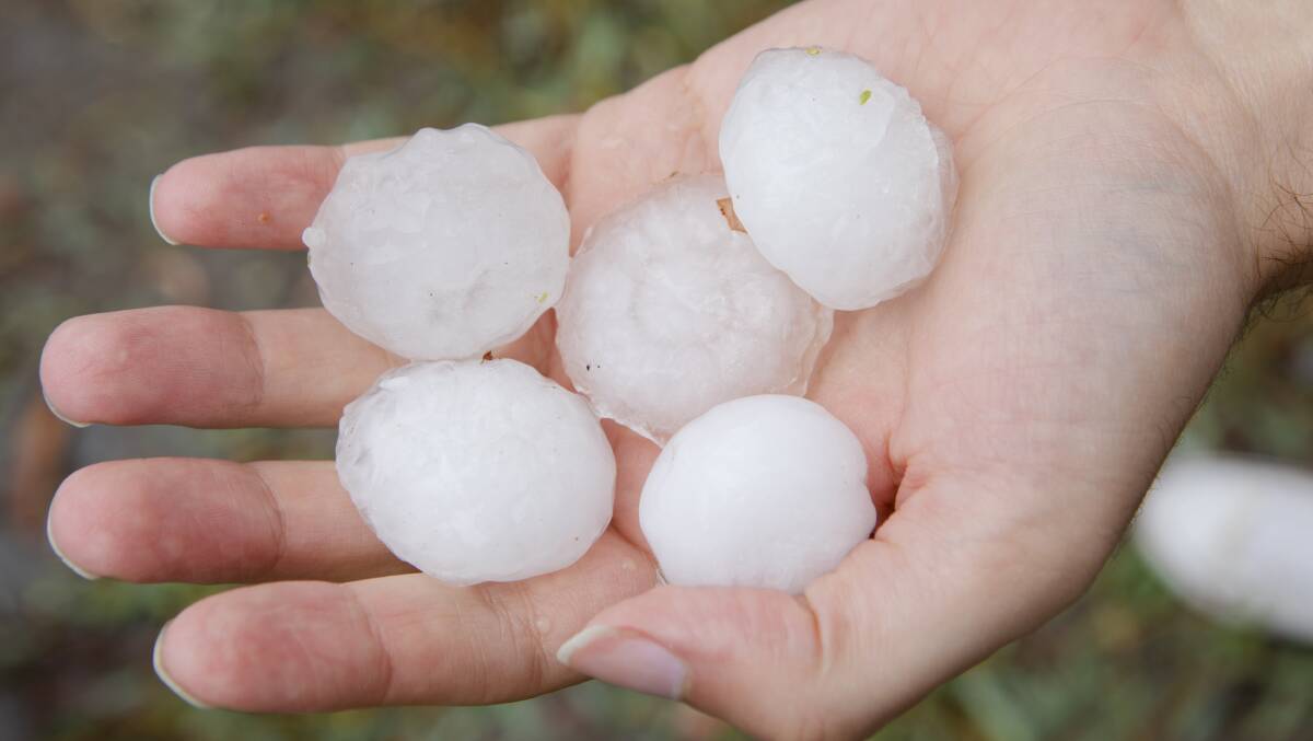 The size of the hailstones which hit Canberra on Monday, January 20, causing hundreds of millions of dollars in damage in the ACT. Picture: Jamila Toderas