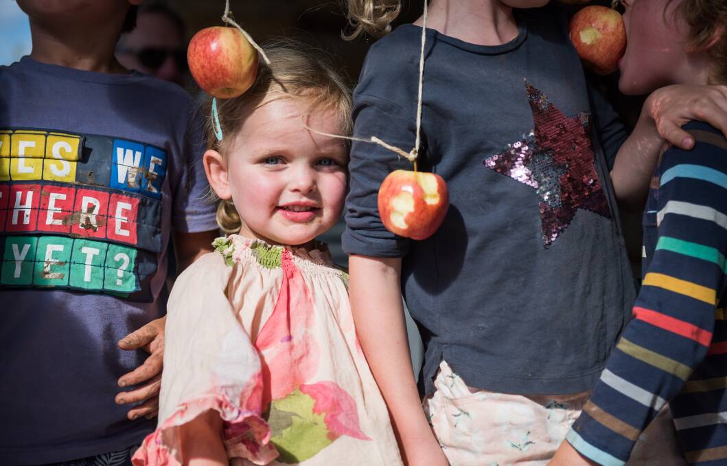 APPLE LOVER: Polly Derham takes a break while taking part in an apple bobbing competition during the harvest. Photo: supplied.
