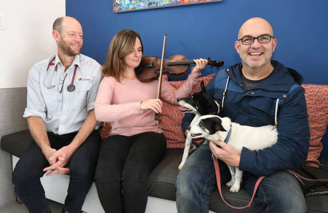 MUSIC MATTERS: Andrew Denman, Amy Stevens and Kyle Manning perform for pooches Louis and Odo for World Music Day. Photo: JUDE KEOGH 0620jkpetmusic2
