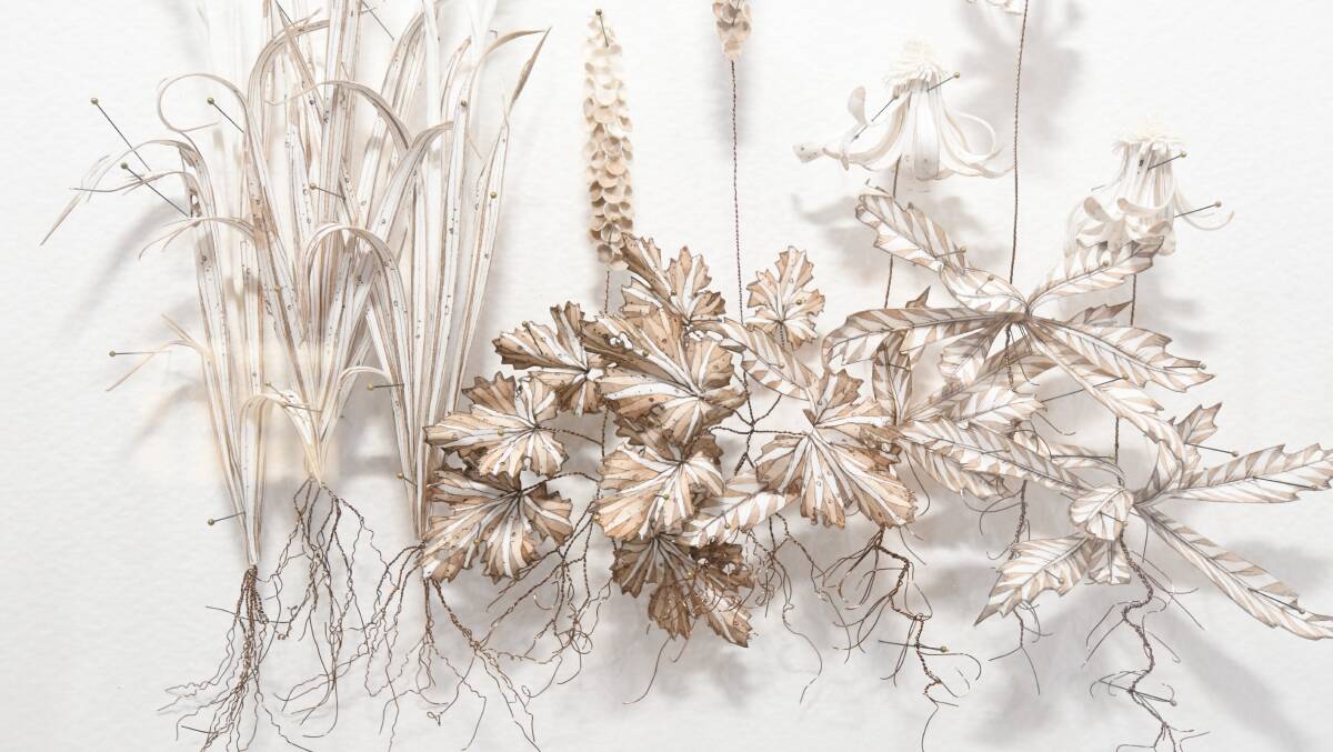 The Orange artist draws textured and feathered plants from her yard, then uses embroidery scissors to disassemble the drawings. Photo: JUDE KEOGH