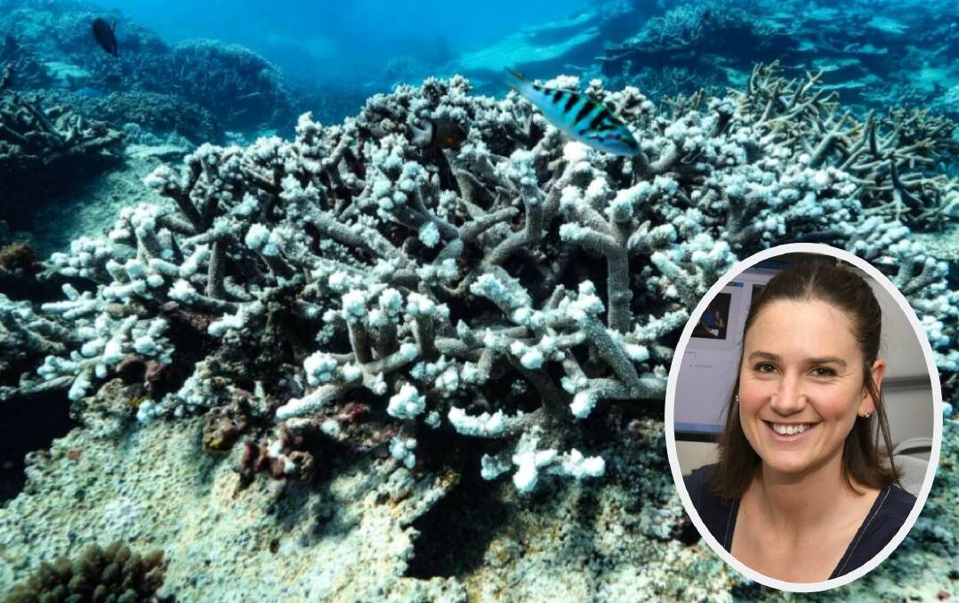 HOT WATER: Rising sea temperatures has caused bleaching in the Great Barrier Reef which is now considered beyond repair, and Alex Crowe (inset) is sick of not hearing about it.