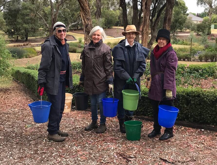 DROUGHT WOES: Patricia Bannatyne, Helen Green, Barb Mutton and Denise Serbutt are bucket watering for the first time. Photo: SUPPLIED