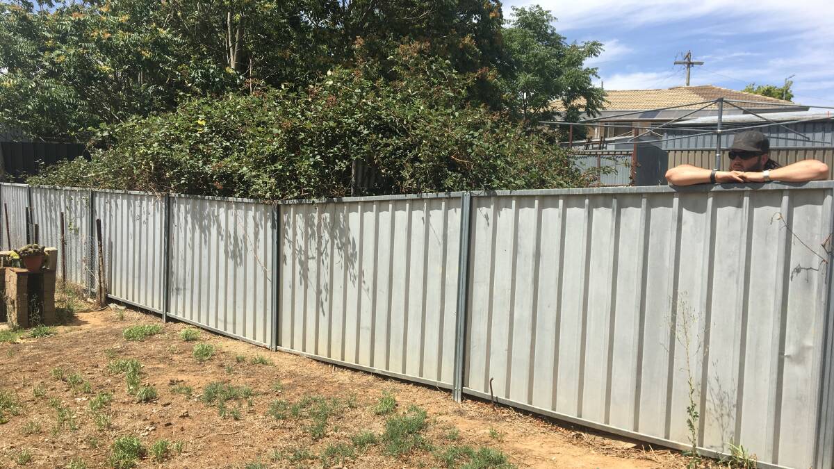 Debbie's son Brendan Osbourne with the blackberry bush which has grown over this fence and into their neighbour's yard. Photo: ALEX CROWE