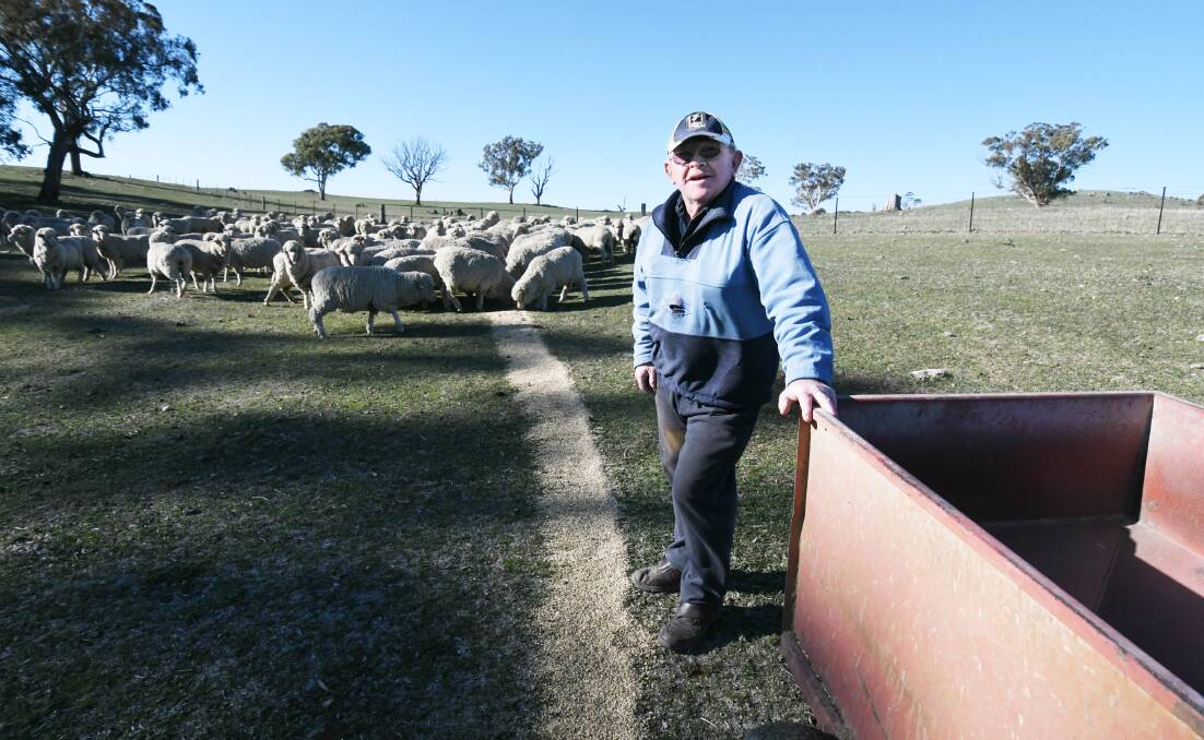 Wool price celebrated by farmers.