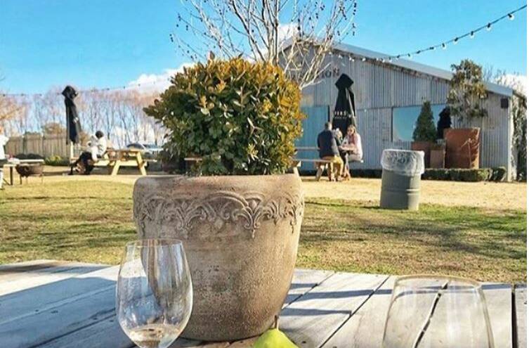 BEETS AND BOOZE: Heifer Station will cater to all palates by offering Pioneer Brews and Small Acres cyder alongside their wine. Photo: Instagram @heiferstationwines