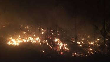 Photos from an overnight fire at Mullions Ranges