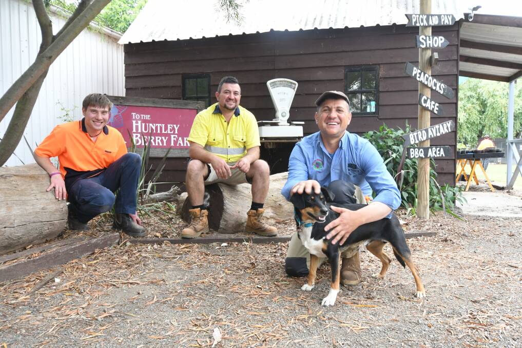 FAMILY DAY: Jay Reed, Gianni and Tony Belmonte with one of the furry friends of Huntley Berry Farm. Photo: JUDE KEOGH 1119jkhuntley