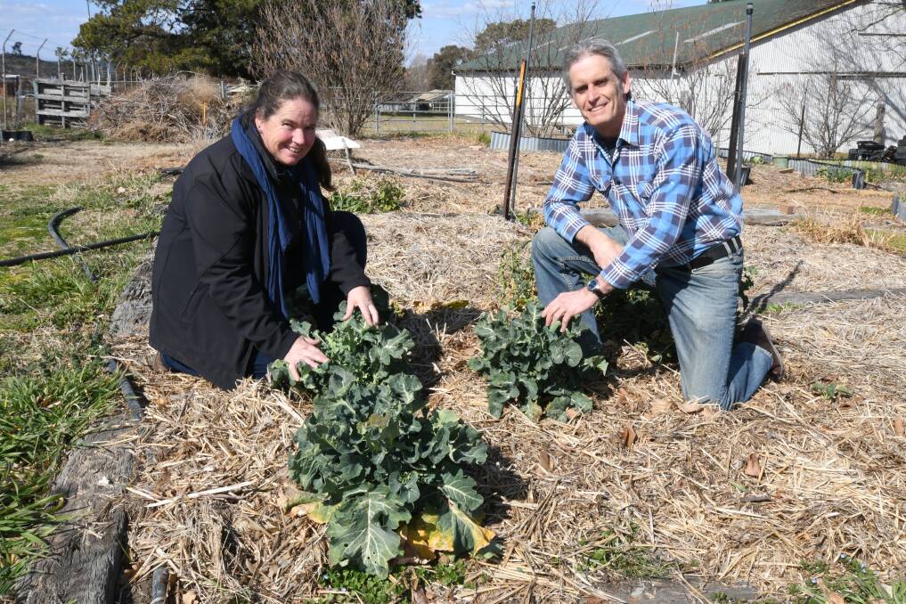 GREEN THUMBS: Marita Sydes and Stephen Nugent get Spring ready at the ELF community gardens this week. Photo: JUDE KEOGH 0824jkgarden1