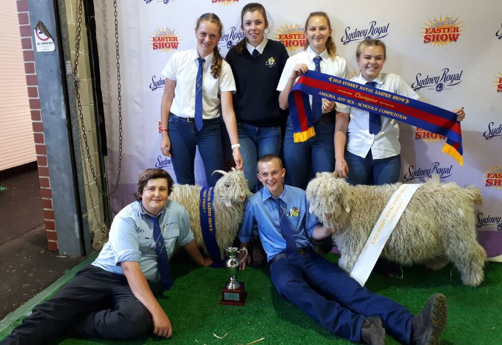 SCHOOL CHAMPIONS: Molong Central School's team Alex Miller, Alyssa Watts, Henrietta Pottie, George Betts, Maddy Hogan and Abbey Quinn at the The Sydney Royal Easter show. Photo: supplied.