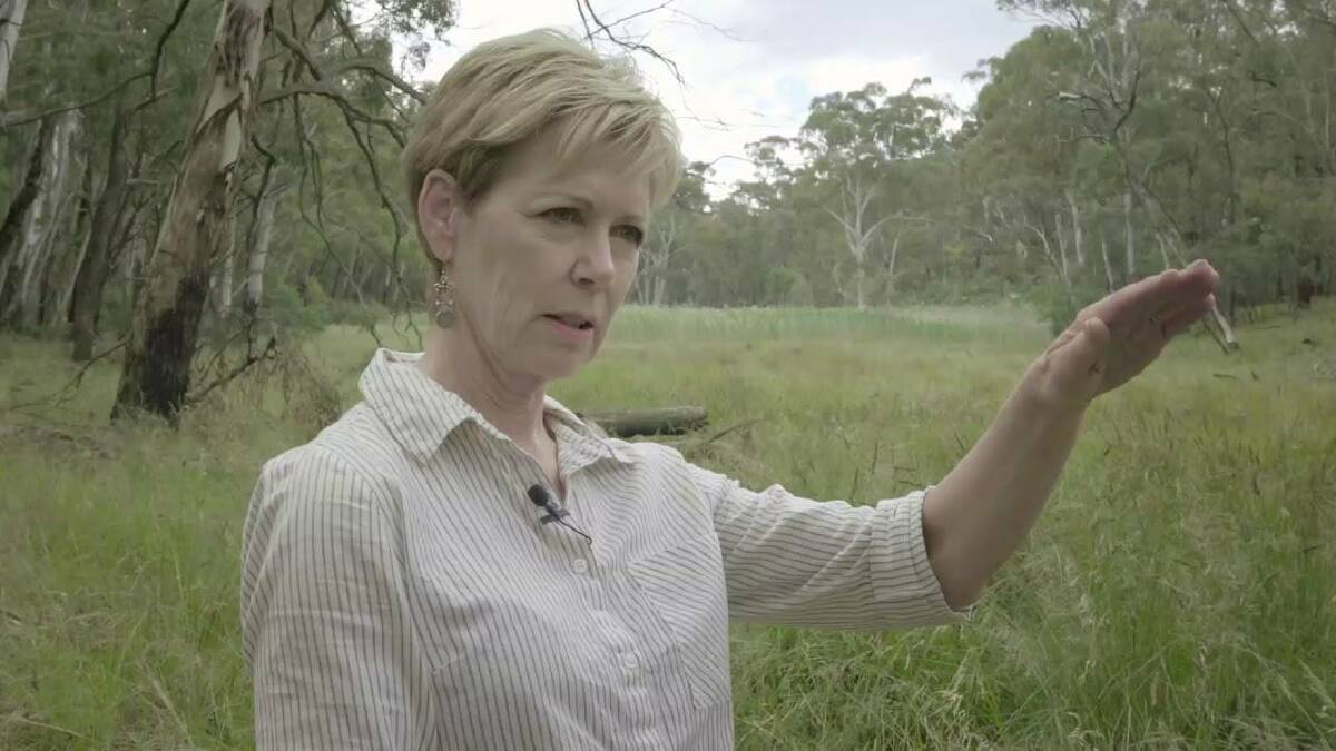 ACTION REQUIRED: Dr Barbara MacTaggart at a Neville swampy meadow. Photo: facebook