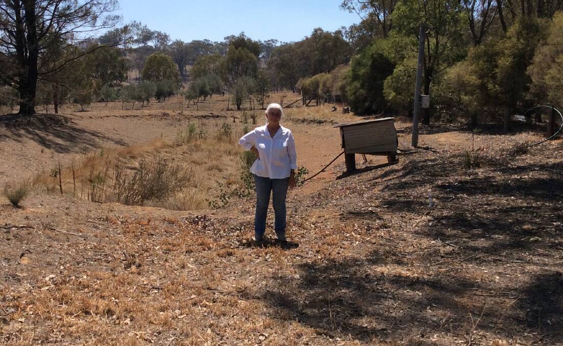 DRY DAM: XR Central West founding member Kate Allen said she had to give up hobby farming because of the drought. Photo: SUPPLIED
