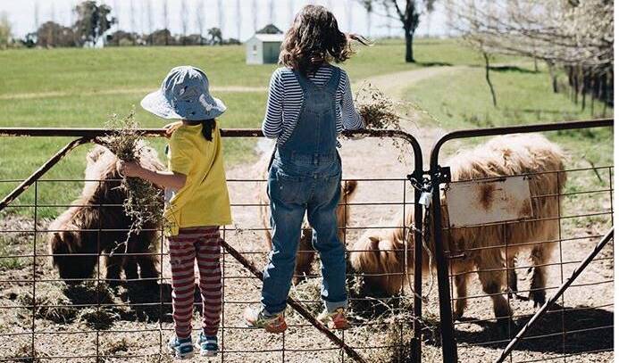 FARM FUN: Take the children to enjoy some outdoor time while you eat cheese. Photo: Instagram @heiferstationwines