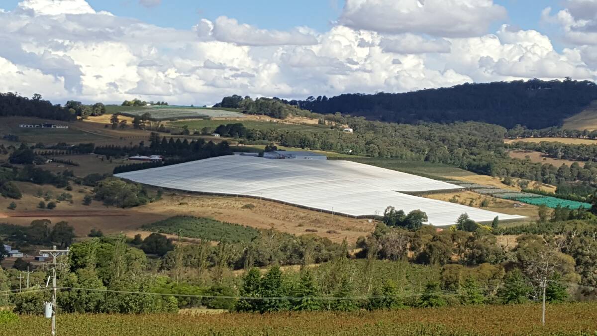 TOWAC VALLEY: Researchers spoke to a range of producers including orchardists, wine producers, dairy and cattle farmers. Photo: Andy Scott