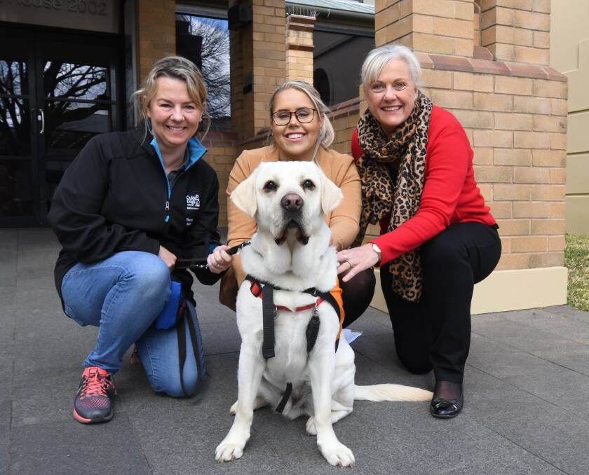 GOOD BOY: Guide Dogs handler Katy Dunlop alongside Housing Plus staff Alana Thrift and Penny Watt with Marshall the dog. Photo: JUDE KEOGH