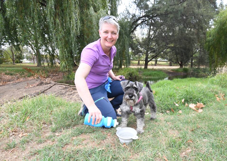 DRINK STOP: Councillor Joanne McRae gave her dog Maisie a chance to quench her thirst at Moulder Park. Photo: JUDE KEOGH