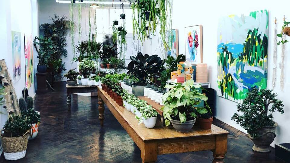 GREEN THUMBS: Indoor plant lovers given the chance to decorate their homes on Saturday. Photo: Botanica Flora facebook