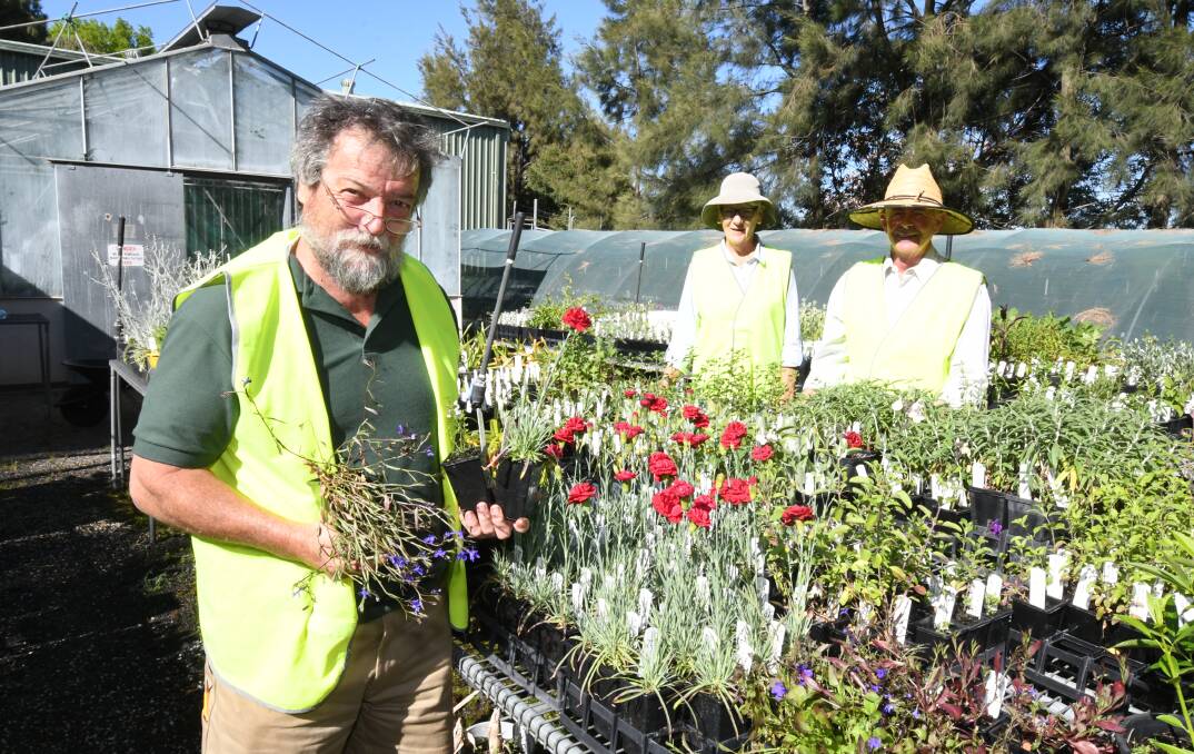 BOTANY BUDDIES: Chris Mills, Judy Kirby and David Kennedy are part of a 20 strong team which volunteer to propagate at the Orange Botanic Gardens. Photo: JUDE KEOGH 1031jkplants1