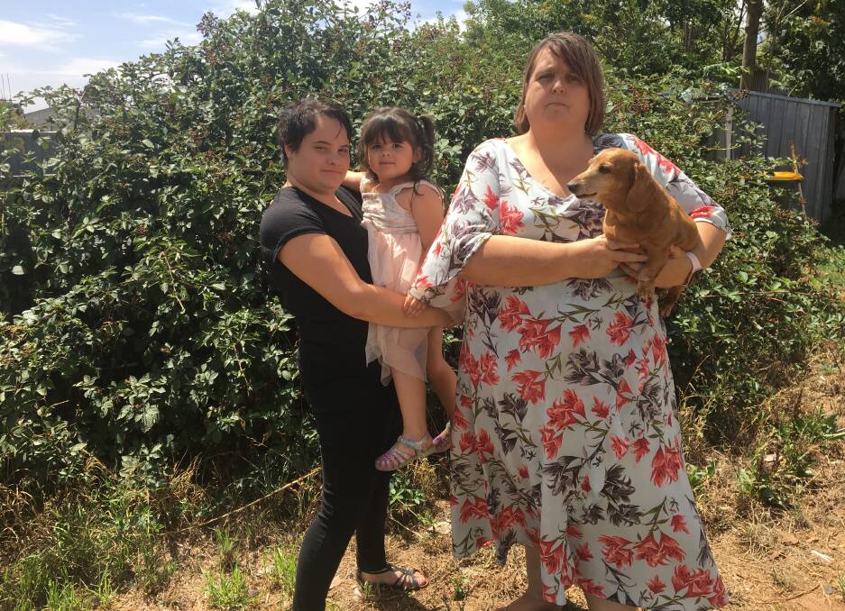 NOXIOUS WEED: Sky Ward, Nayeli and Debbie Osborne with Pippa the dog beside the giant blackberry bush which has taken over their backyard. Photo: ALEX CROWE
