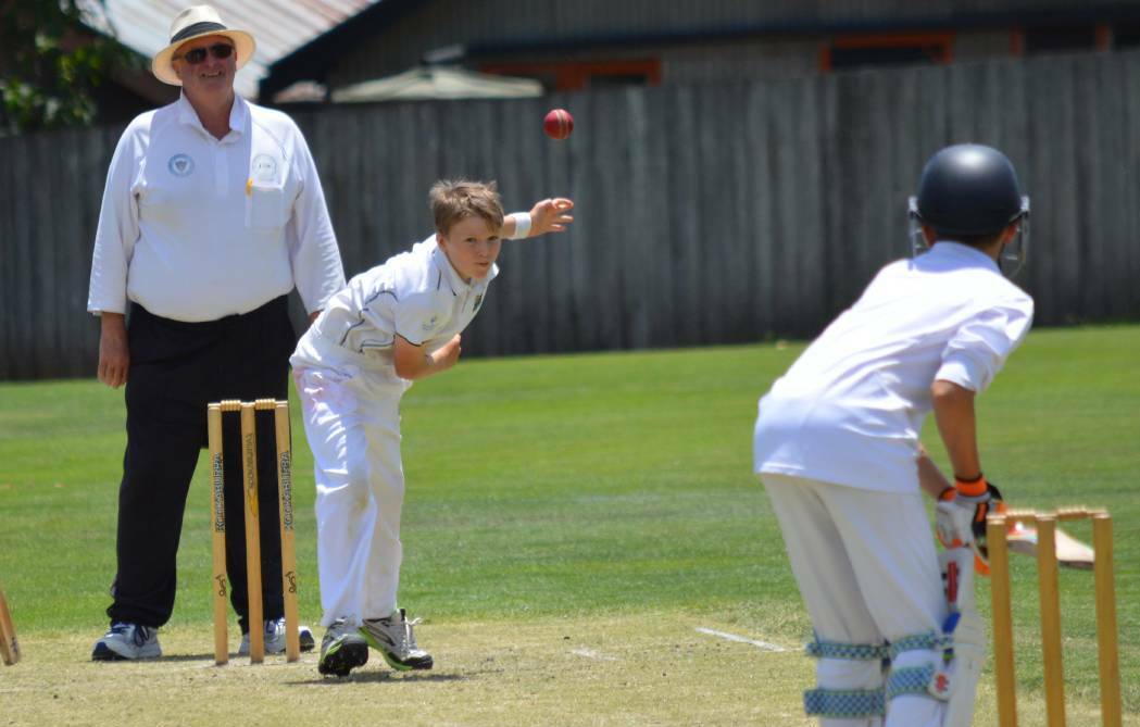 TOURISM WINS: The Western NSW Cricket Carnival brought hundreds of people to the region last year. Photo: JUDE KEOGH