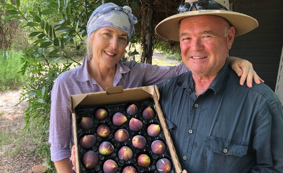 FRESH FIGS: Dionne Mitchell and Ian Knox with a crate of the figs they've packed this week for Saturday's market. Photo: supplied.