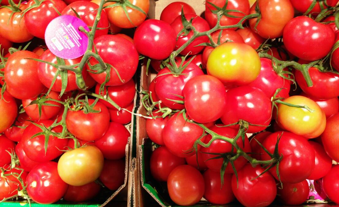 Supermarket tomatoes, along with fruit like plums, nectarines and pears, are grown to withstand storage and transportation. FILE PHOTO