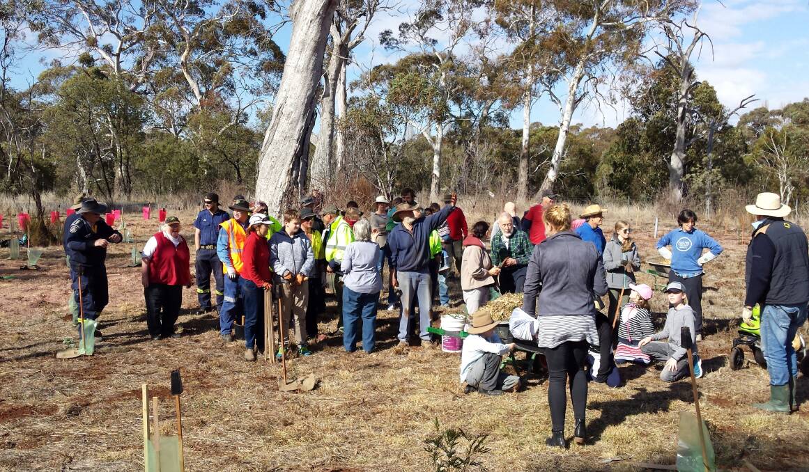 Some of the many volunteers that gather fort National Tree Day back in 2018 in Orange. Photo: CONTRIBUTED