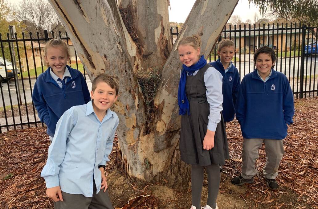 Students at Calare Public School are looking forward to creating their Wiradjuri Walk with funding from the Charles Sturt University CUP Grant program. Photo: SUPPLIED
